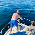 Dolphin Watching in Benalmadena - Starting Point: Convenient Location in Benalmádena