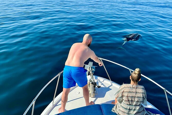 Dolphin Watching in Benalmadena - Starting Point: Convenient Location in Benalmádena