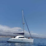 Dolphin watching in Estepona - Departure from Estepona Marina at Pontoon 3