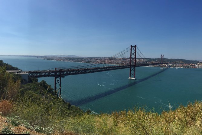 Dolphin Watching in the Wild - Half Day - Scenic Route from Lisbon to the Sado Estuary