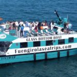 Dolphin watching on a Catamaran in Fuengirola - The Catamaran’s Design and Comfort