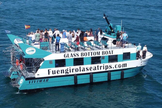 Dolphin watching on a Catamaran in Fuengirola - The Catamaran’s Design and Comfort