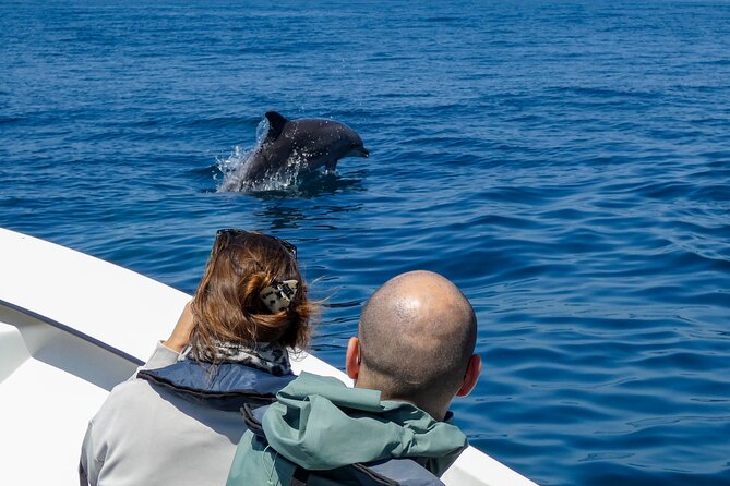 Dolphin Watching with Biologist in Arrábida Natural Park - Exploring the Natural Habitat of Dolphins