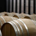 Domaine de Haute Perche: Anjou Noir Wine Tasting - Starting at Domaine de Haute Perche in the Loire Valley