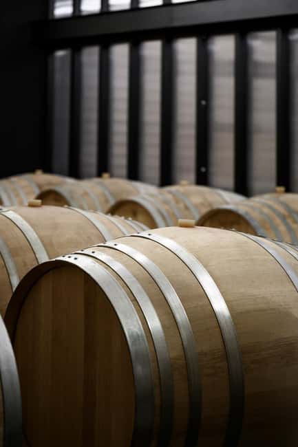 Domaine de Haute Perche: Anjou Noir Wine Tasting - Starting at Domaine de Haute Perche in the Loire Valley