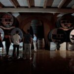 Domaine de Soustres, Montady : Visit and Tasting - Discovering the Estate’s History and Local Environment