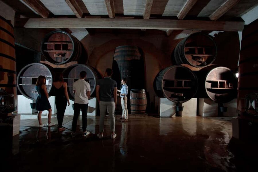 Domaine de Soustres, Montady : Visit and Tasting - Discovering the Estate’s History and Local Environment