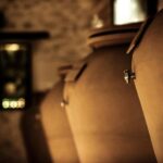 Domaine des Perchés: "Les Secrets des Perchés" tour - An Introduction to Domaine des Perchés and Its Family Roots