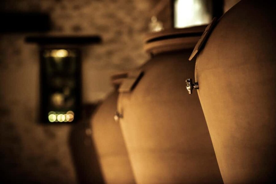 Domaine des Perchés: "Les Secrets des Perchés" tour - An Introduction to Domaine des Perchés and Its Family Roots