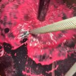 Domaine Tour Paradis: Winery Visit & Wine Tasting in Aiguèze - Visiting Domaine Tour Paradis Winery in Aiguèze