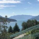 Domaso: Wine Tasting at the Winery on Como Lake - Visiting a Historic Villa Winery in Domaso