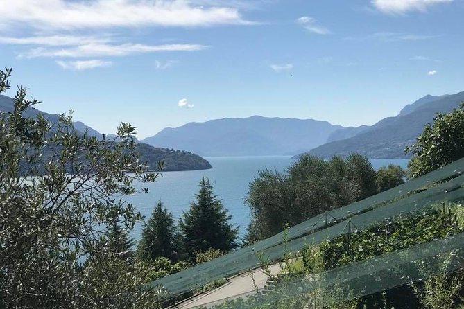 Domaso: Wine Tasting at the Winery on Como Lake - Visiting a Historic Villa Winery in Domaso