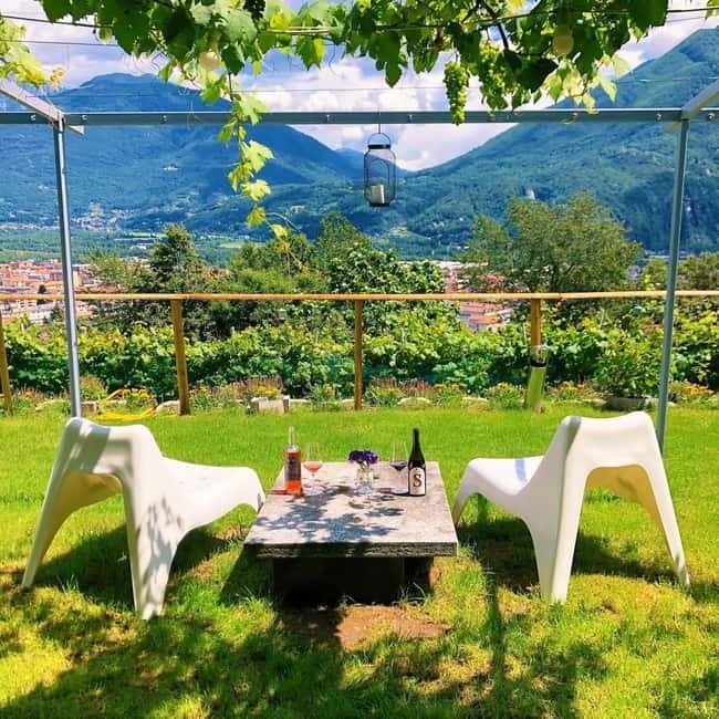 Domodossola: Savor Wines & Local Treats in a Scenic Vineyard - Exploring the Vineyard and Cellar at Your Own Pace