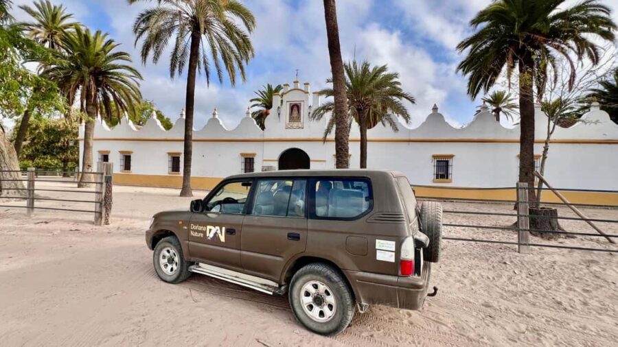 Doñana: 4x4 Excursion and Exclusive Access to Coto del Rey - Starting Point and How to Find It