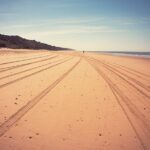 Doñana Natural Park Full-Day Tour from Seville - From Seville to the Heart of Doñana’s Ecosystems