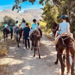 Donkey Ride - Cretan Country - The Authentic Cretan Countryside Experience