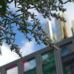 Dortmund beer history  guided tour with tasting - Origin and Significance of Dortmund’s Beer Tradition