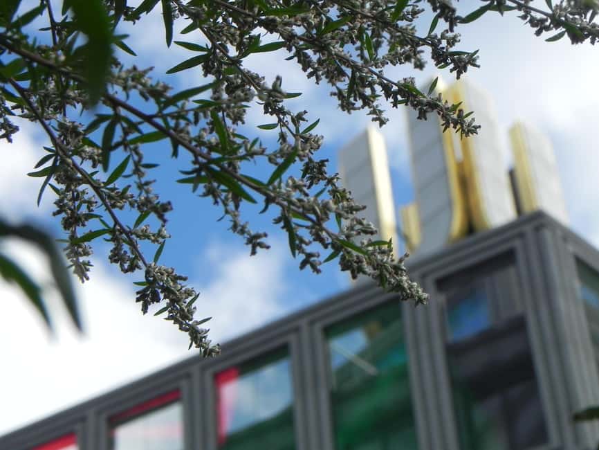 Dortmund beer history  guided tour with tasting - Origin and Significance of Dortmund’s Beer Tradition