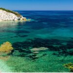 Double Dive Elba Island - Dive Site Highlights: Scoglietto di Portoferraio and More