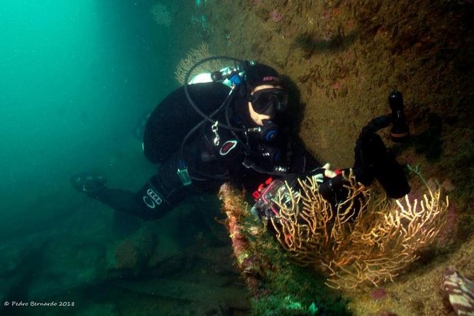 Double Dive in Cascais - go further and go under! - Certified Divers and Non-Certified Participants Welcome