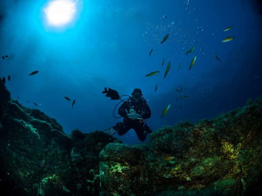 Double dive in Santa Maria Island - Azores - Santa Marias Underwater Landscape and Marine Diversity