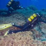 Double Dive the Azores, in the middle of the Atlantic Ocean - Starting Point at the Dive Center in the Azores