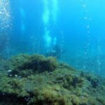 Double Scuba Diving - Timing and Seasonality of Dives