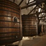 Douro and Port tasting Quinta do Bomfim - Vineyard Walks and Scenic Views