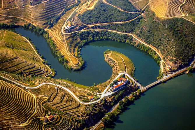 Douro Experience - Boat and Train Ride - Lunch and Wine Tasting - All Included - Vineyard Tour and Wine Tasting at Quinta do Tedo