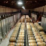 Douro from Porto - explore the cradle of Barca Velha wine - Tour Schedule and Logistics