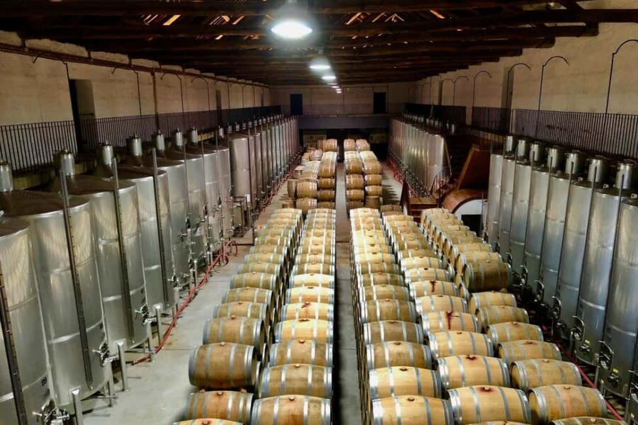 Douro from Porto - explore the cradle of Barca Velha wine - Tour Schedule and Logistics