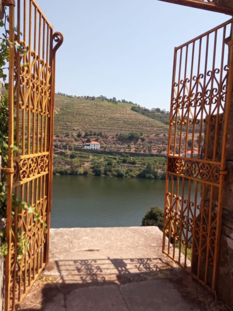 Douro: luxury tour with lunch at Quinta da Pacheca - Enjoying the Vineyards: The Walk Through Douros Vineyards