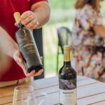 Douro: Martha's Harvest - DOC Wine Tour and Tasting - The Unique Location in the Douro Valley