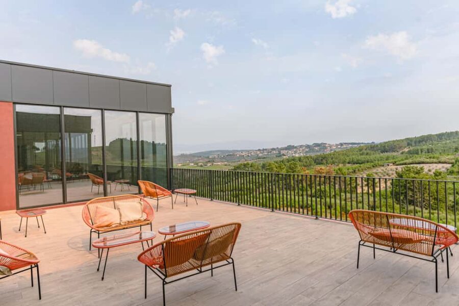 Douro: Martha's Selection - Premium Wine Tour and Tasting - Starting the Tour at Martha’s Wines & Spirits