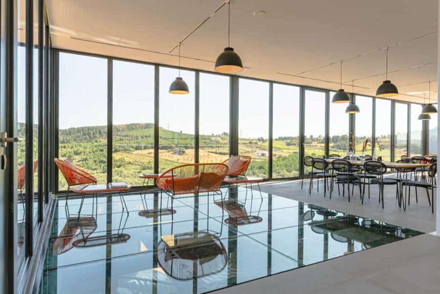 Douro: Martha's Welcome - Wine Tour and Tasting - The Unique Setting of Marthas Wines & Spirits in Douro