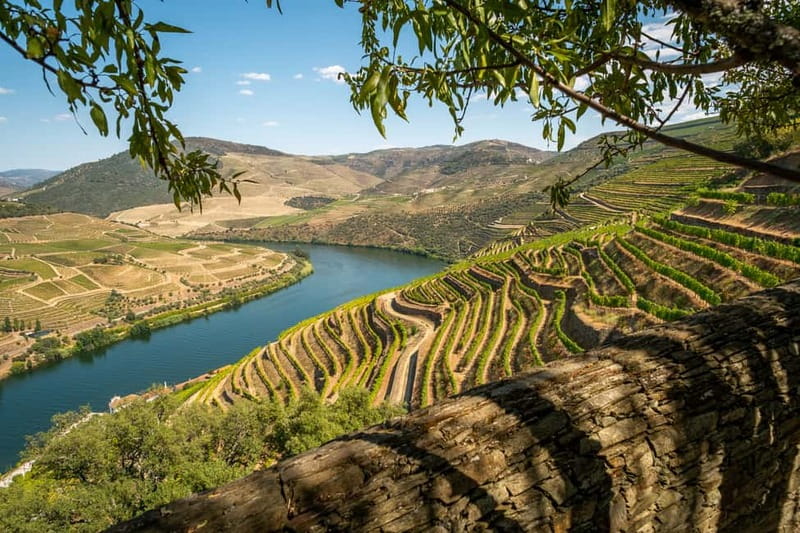 Douro Private Tour  Customizable Experience - Scenic Drive and Iconic Viewpoints along the N222