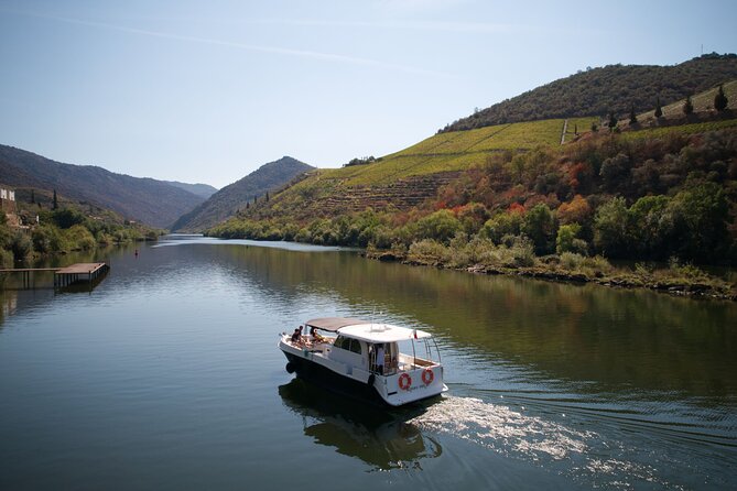Douro River Cruise - Private River Cruise - Pinhão 1 Hour - Starting Point at Cais Deltatur in Pinhão