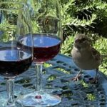 Douro Tour: Wine Tastings, Boat Ride & Manor House Lunch - Starting Point and Transportation: From Largo da Estação to Douro’s Heart