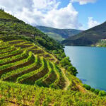 Douro Valley & Amarante - from Porto, Braga or Guimarães - Exploring the Scenic Douro Region: From Régua to Pinhão