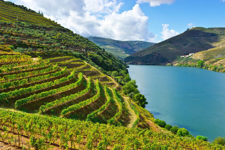 Douro Valley & Amarante - from Porto, Braga or Guimarães - Exploring the Scenic Douro Region: From Régua to Pinhão