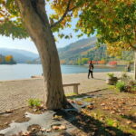 Douro Valley: Discover the Wine Region with Tastings. - Scenic Journey from Porto to the Douro Valley