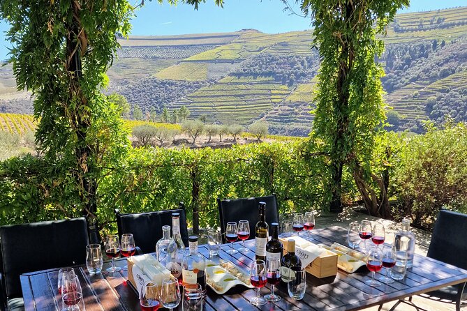 Douro Valley-Expert Guide-Boat-Lunch-Tastings Premium Service - Visiting the Torguiano De Sao Cristovao Do Douro Viewpoint