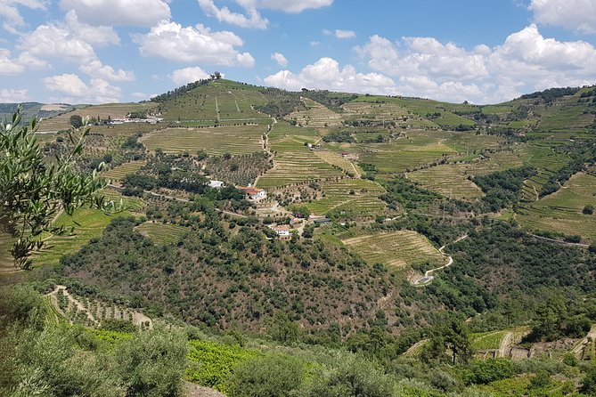 Douro Valley for Wine Lovers with Visit to 3 Vineyards and Lunch at a Winery - Visiting Three Distinct Vineyards in Douro