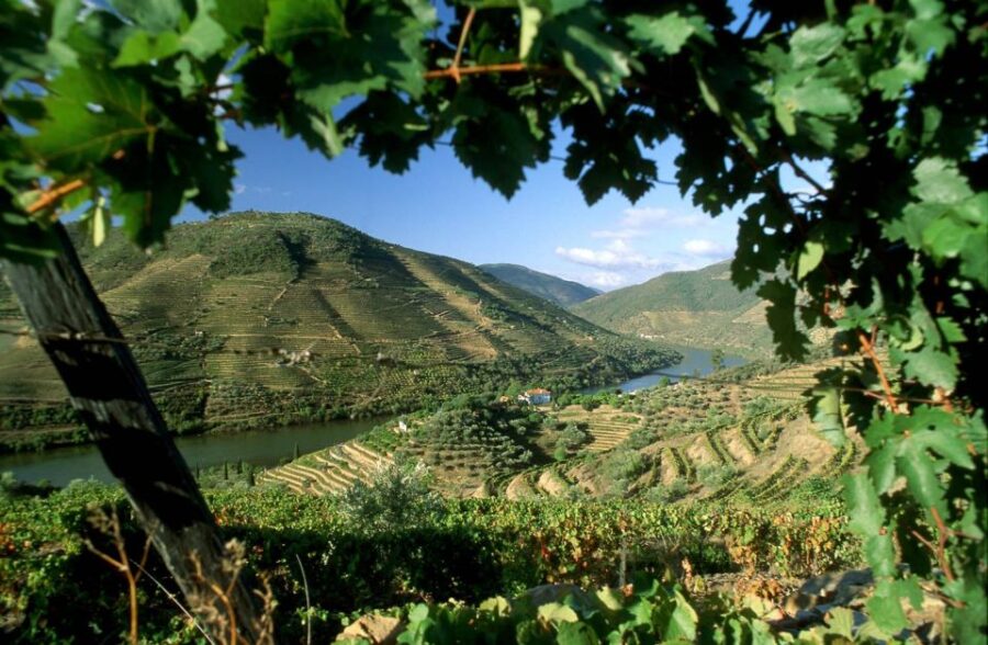 Douro Valley: Full-Day Private Tour from Porto - Exploring Amarante’s Historic Charm