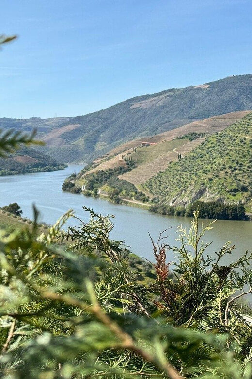 Douro Valley Full Day Tour From Lisbon - Starting Your Journey in Lisbon with Comfort and Ease