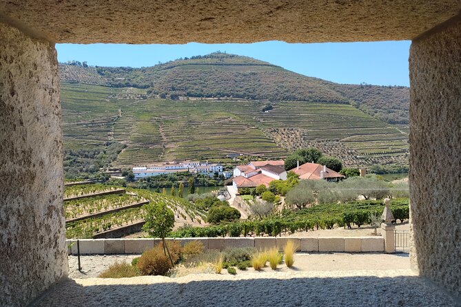 Douro Valley full experience with limited small group - Discovering Pinhão: The Heart of Port Wine History