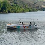 Douro Valley: Guided Tour with Wine Tasting and Lunch - Exclusive Wine Experience with a Local Producer