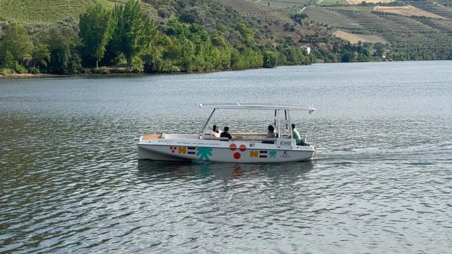 Douro Valley: Guided Tour with Wine Tasting and Lunch - Exclusive Wine Experience with a Local Producer
