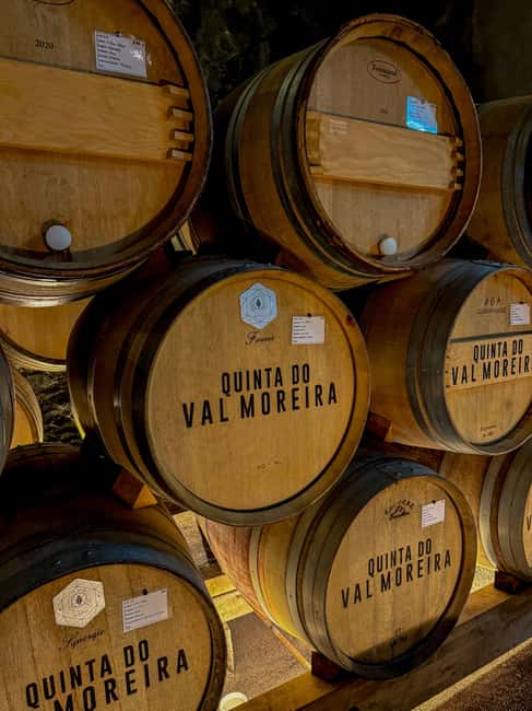 Douro Valley: Olive Oil & Wine Tour with Boat & Lunch - Starting Point and Transport Logistics in the Douro Valley