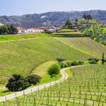 Douro Valley private day tour from Porto - Convenient Pickup and End at Praça da Liberdade